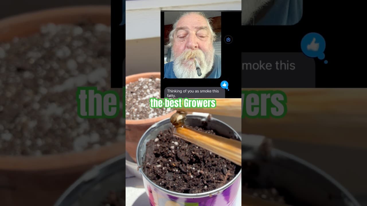 Gardening question, how do you plant your seeds? #gardening #growagarden #cannabisgrowers